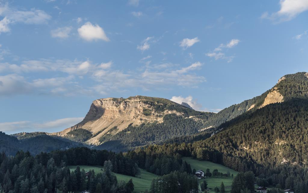 Отель Rainell Dolomites Retreat Ортизеи Экстерьер фото